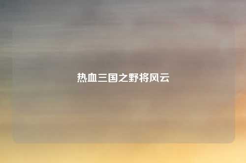 热血三国之野将风云