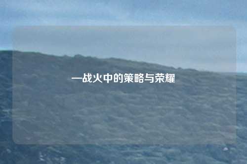 —战火中的策略与荣耀