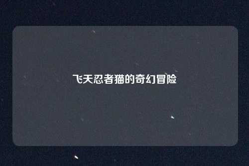 飞天忍者猫的奇幻冒险