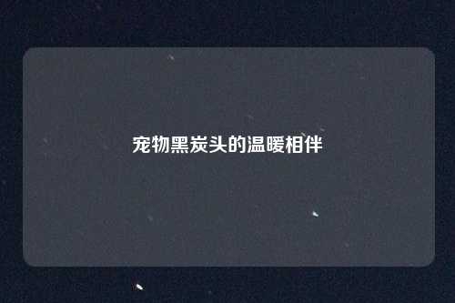 宠物黑炭头的温暖相伴