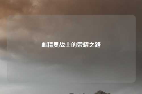 血精灵战士的荣耀之路