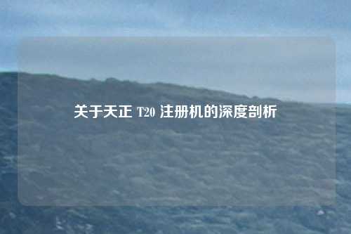 关于天正 T20 注册机的深度剖析