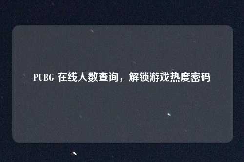 PUBG 在线人数查询，解锁游戏热度密码