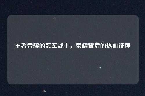 王者荣耀的冠军战士，荣耀背后的热血征程
