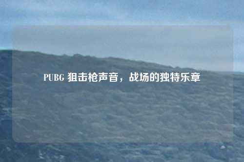 PUBG 狙击枪声音，战场的独特乐章