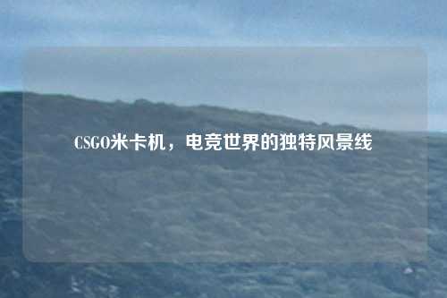 CSGO米卡机，电竞世界的独特风景线