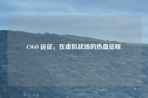 CSGO 远征，在虚拟战场的热血征程