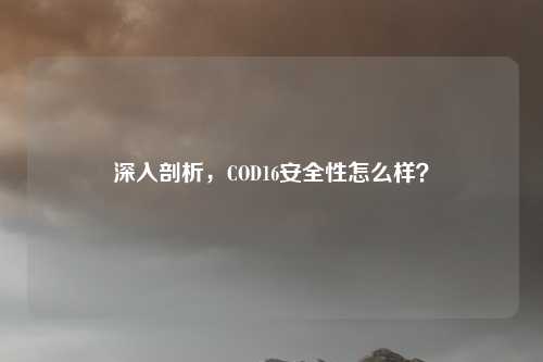 深入剖析，COD16安全性怎么样？