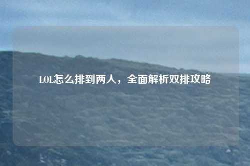 LOL怎么排到两人，全面解析双排攻略