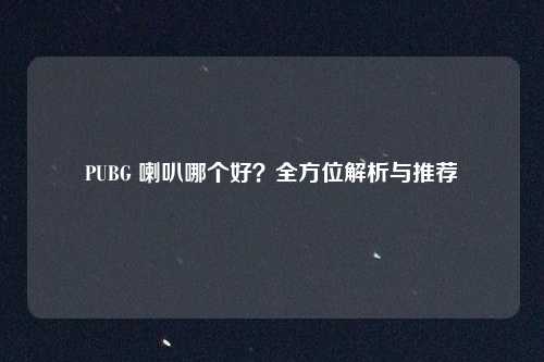 PUBG 喇叭哪个好？全方位解析与推荐