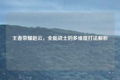 王者荣耀赵云，全能战士的多维度打法解析