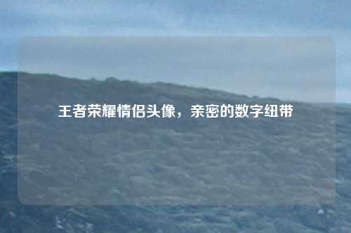 王者荣耀情侣头像，亲密的数字纽带