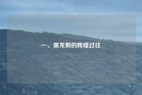 一、黑龙刺的辉煌过往