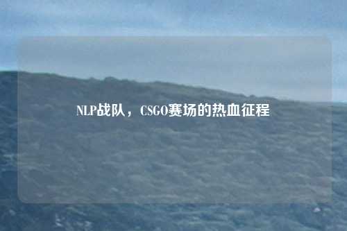 NLP战队，CSGO赛场的热血征程