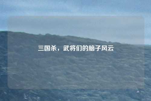 三国杀，武将们的脑子风云