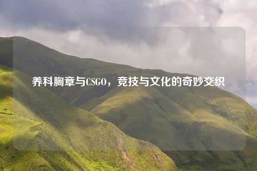 养科胸章与CSGO，竞技与文化的奇妙交织