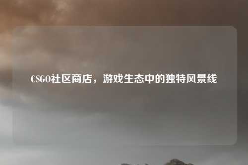 CSGO社区商店，游戏生态中的独特风景线