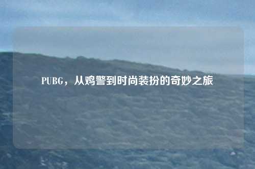 PUBG，从鸡警到时尚装扮的奇妙之旅