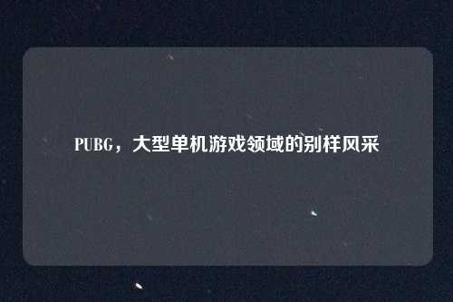 PUBG，大型单机游戏领域的别样风采