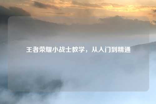 王者荣耀小战士教学，从入门到精通