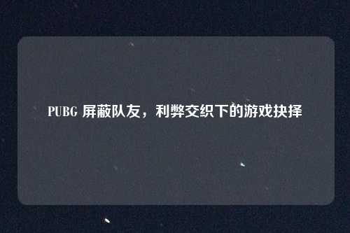 PUBG 屏蔽队友，利弊交织下的游戏抉择
