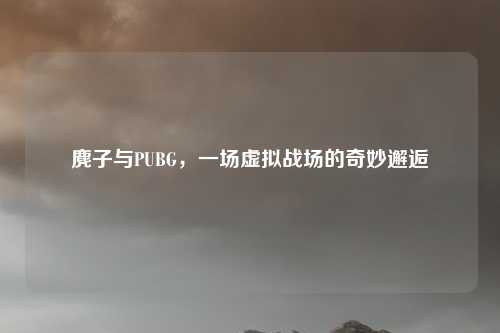 麂子与PUBG，一场虚拟战场的奇妙邂逅