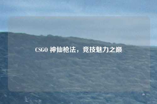 CSGO 神仙枪法，竞技魅力之巅