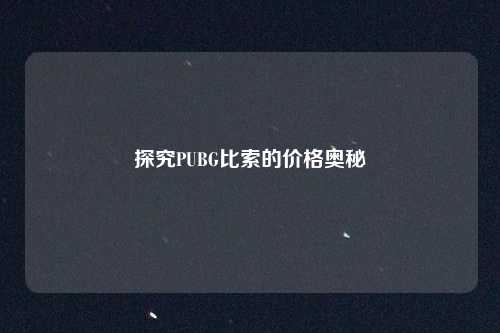 探究PUBG比索的价格奥秘