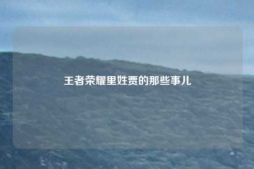 王者荣耀里姓贾的那些事儿