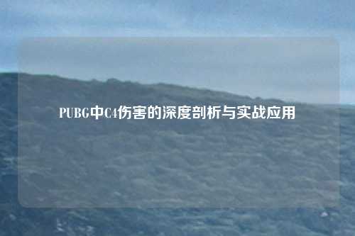PUBG中C4伤害的深度剖析与实战应用
