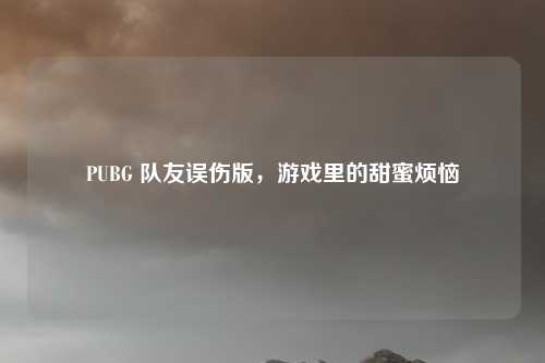 PUBG 队友误伤版，游戏里的甜蜜烦恼
