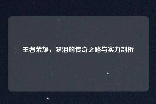 王者荣耀，梦泪的传奇之路与实力剖析
