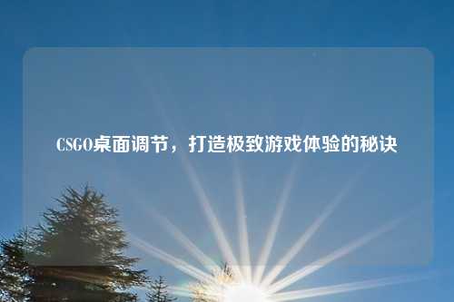 CSGO桌面调节，打造极致游戏体验的秘诀