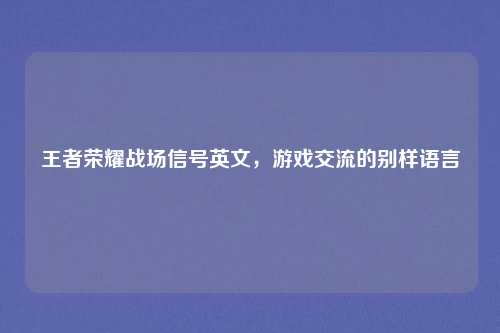 王者荣耀战场信号英文，游戏交流的别样语言