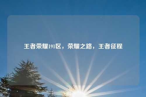 王者荣耀191区，荣耀之路，王者征程